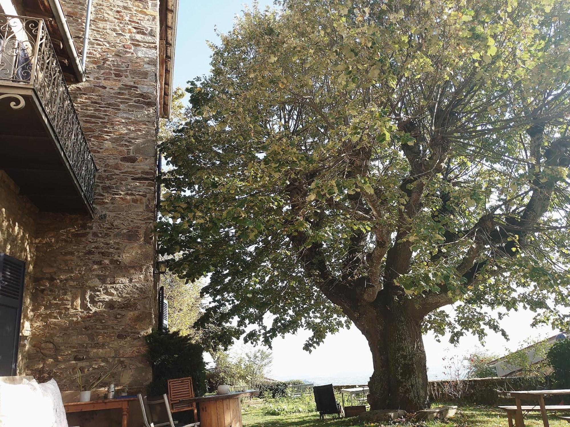 Chateau De Riverie Chambres Et Table D'Hotes Exterior photo